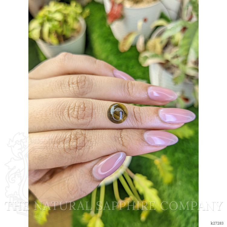 4.43 Ct. Cabochon Tiger's Eye from Ceylon (Sri Lanka)