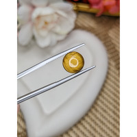 4.40 Ct. Cabochon Tiger's Eye from Ceylon (Sri Lanka) Life Style
