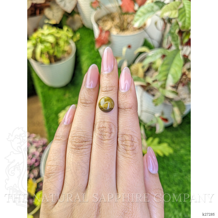 4.44 Ct. Cabochon Tiger's Eye from Ceylon (Sri Lanka)