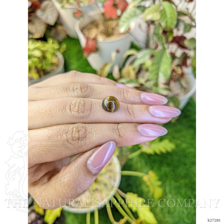 4.45 Ct. Cabochon Tiger's Eye from Ceylon (Sri Lanka)