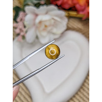 4.53 Ct. Cabochon Tiger's Eye from Ceylon (Sri Lanka) Life Style