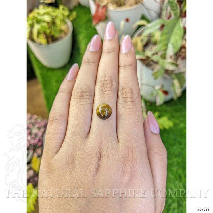 4.53 Ct. Cabochon Tiger's Eye from Ceylon (Sri Lanka)