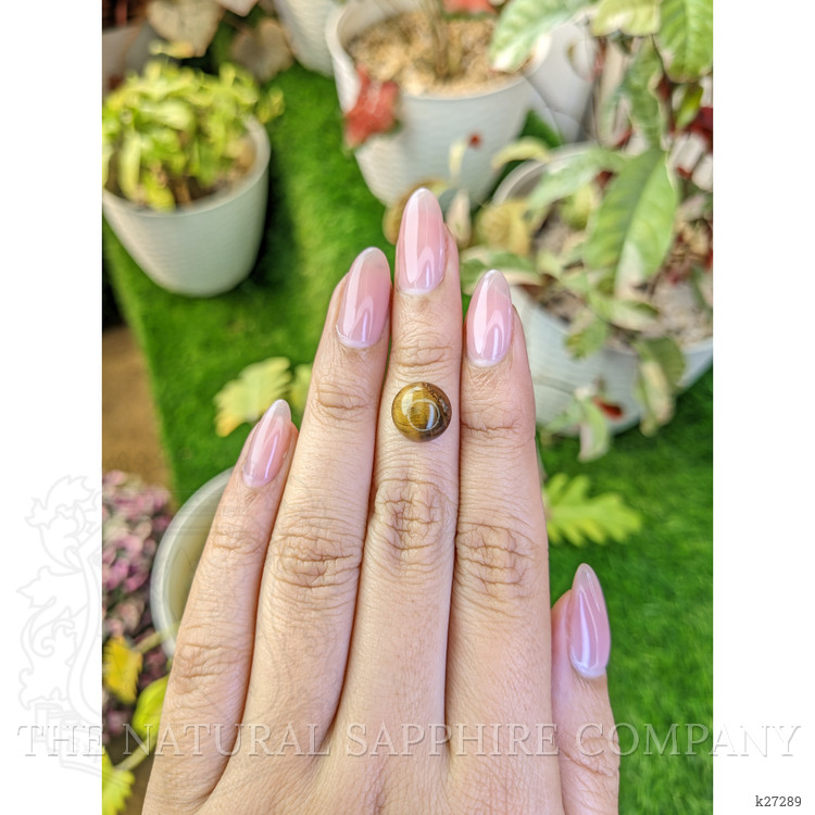 4.56 Ct. Cabochon Tiger's Eye from Ceylon (Sri Lanka)