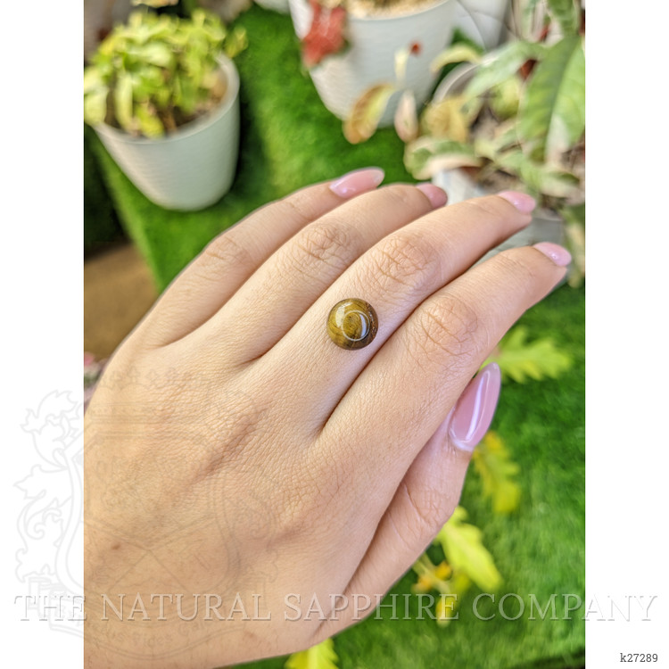 4.56 Ct. Cabochon Tiger's Eye from Ceylon (Sri Lanka)