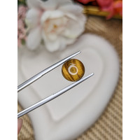 4.61 Ct. Cabochon Tiger's Eye from Ceylon (Sri Lanka) Life Style