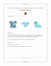 12.27 Ct. Blue Topaz from Brazil Appraisal