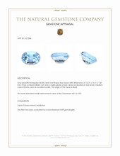 8.28 Ct. Blue Topaz from Brazil Appraisal