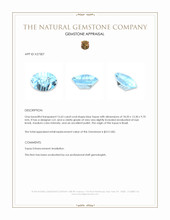 15.63 Ct. Blue Topaz from Brazil Appraisal