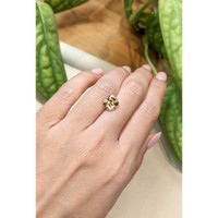 2.91 Ct. Golden Brown Garnet from South Africa Life Style
