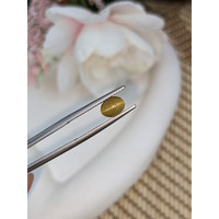 1.56 Ct. Greenish Yellow Cabochon Chrysoberyl from Ceylon (Sri Lanka) Life Style