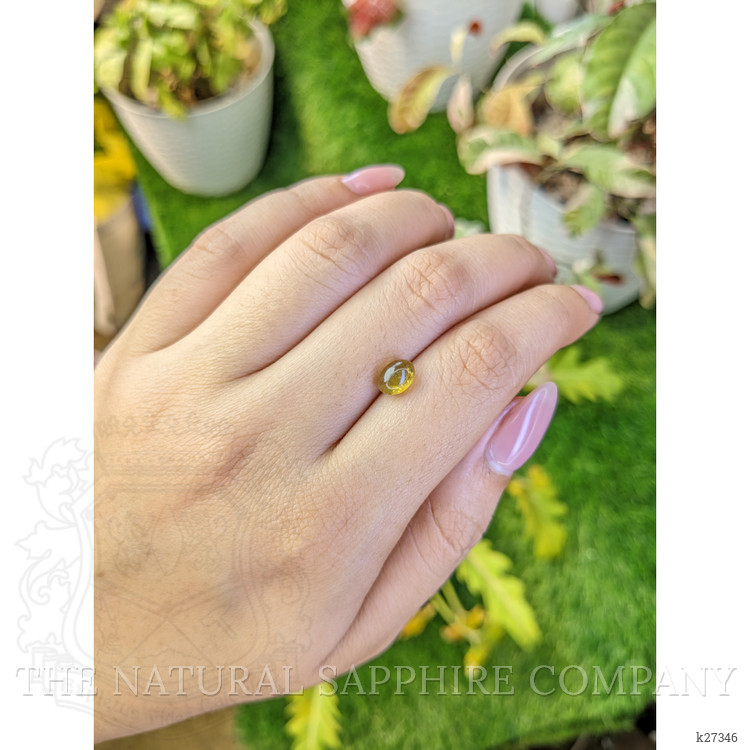 1.56 Ct. Greenish Yellow Cabochon Chrysoberyl from Ceylon (Sri Lanka)