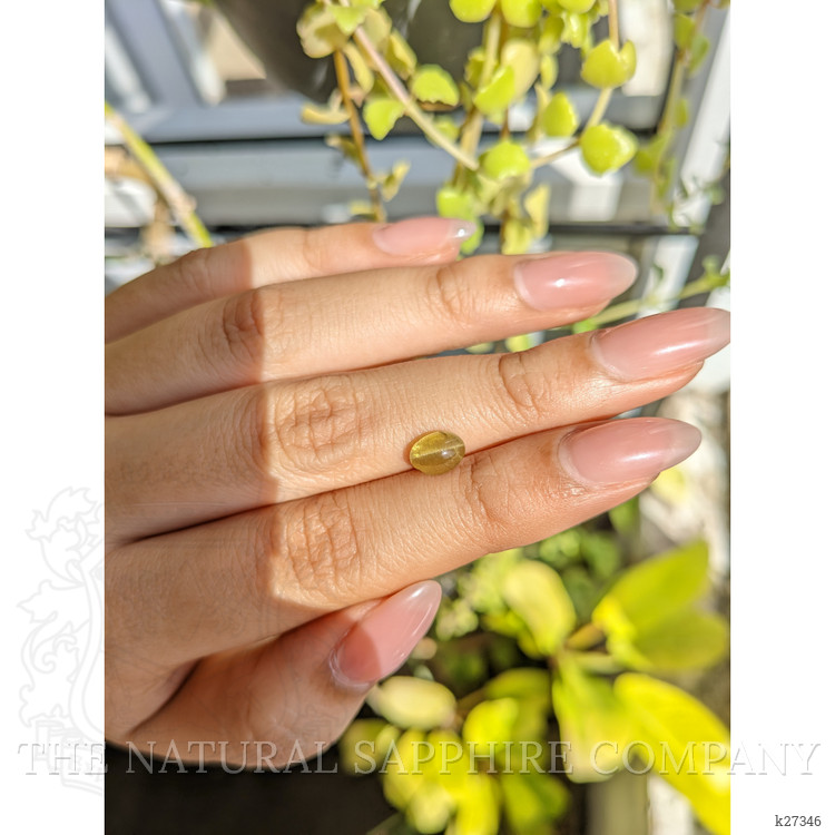 1.56 Ct. Greenish Yellow Cabochon Chrysoberyl from Ceylon (Sri Lanka)