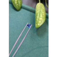 0.90 Ct. Violetish Blue Tanzanite from Tanzania Life Style