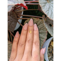 0.98 Ct. Yellow Cabochon Chrysoberyl from Ceylon (Sri Lanka) Life Style