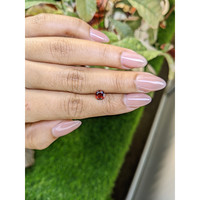 1.00 Ct. Red Garnet from Ceylon (Sri Lanka) Life Style