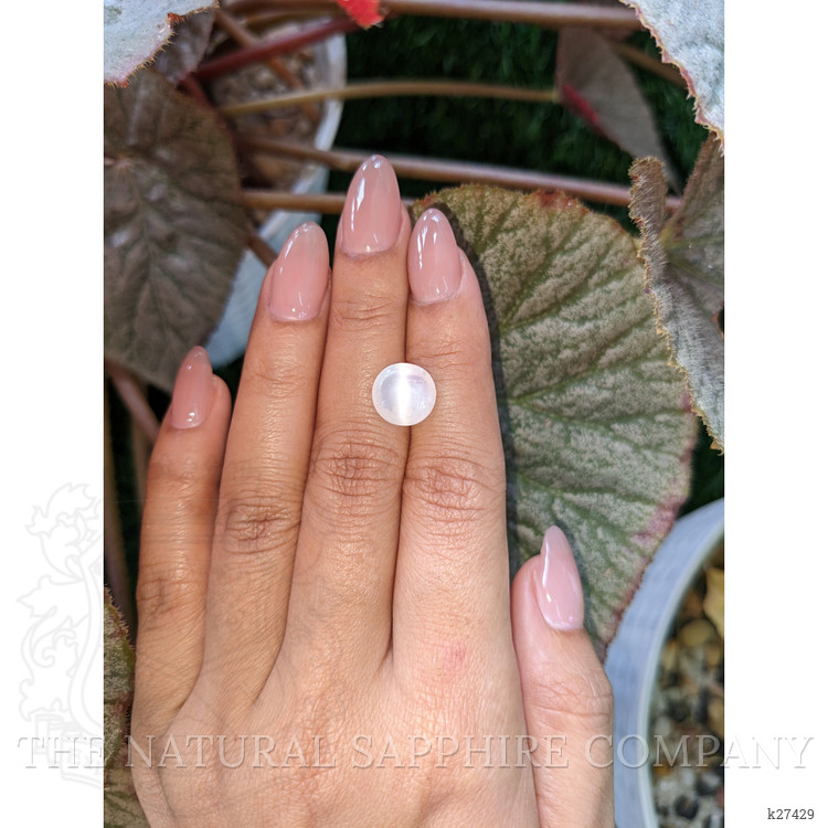 3.90 Ct. White Cabochon Moonstone from Ceylon (Sri Lanka)