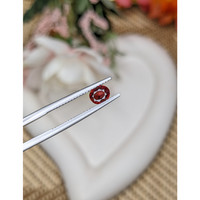 0.67 Ct. Red Garnet from Ceylon (Sri Lanka) Life Style