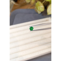 0.70 Ct. Tsavorite Garnet from Tanzania Life Style