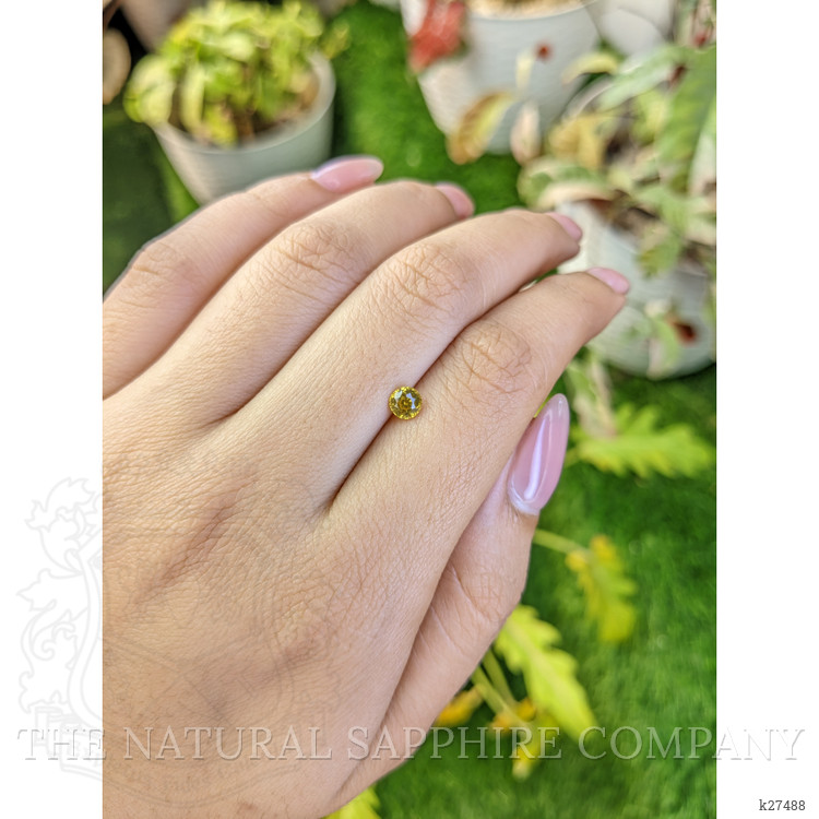 0.60 Ct. Yellow Zircon from Ceylon (Sri Lanka)