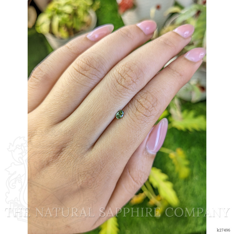 0.25 Ct. Yellowish Green Tourmaline from Ceylon (Sri Lanka)