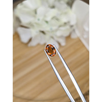 0.68 Ct. Orange Hessonite Garnet from Madagascar Life Style