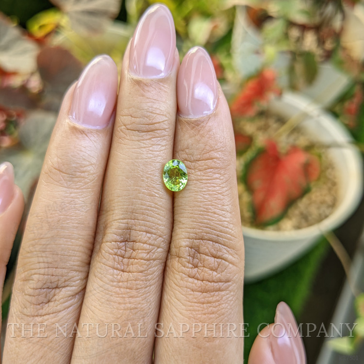 0.84 Ct. Green (Lime Green) Peridot from Pakistan