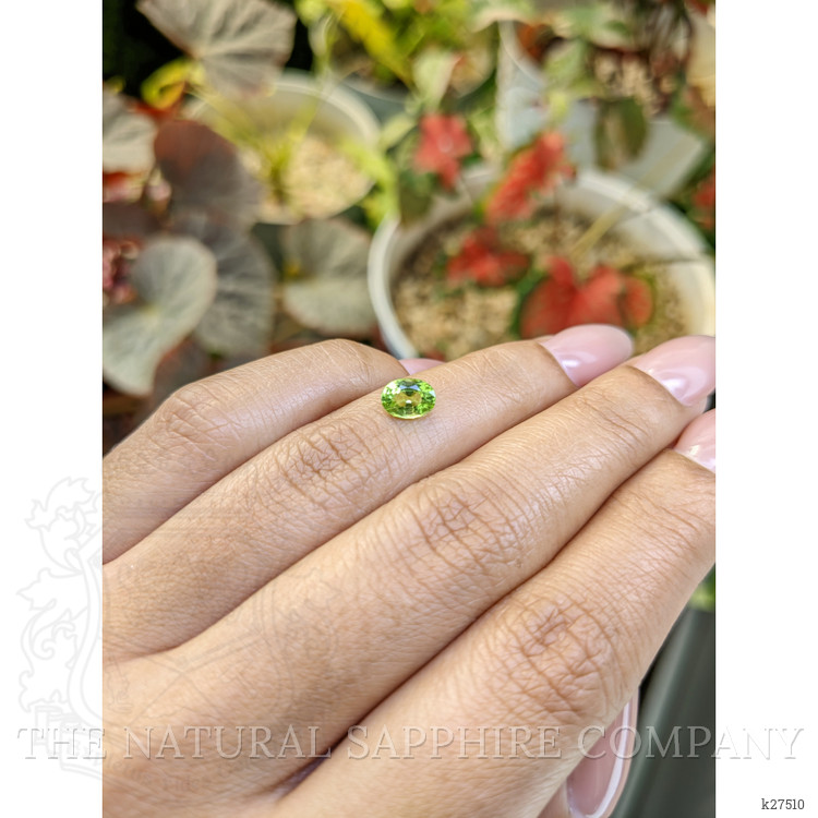 0.81 Ct. Yellowish Green Peridot from Pakistan