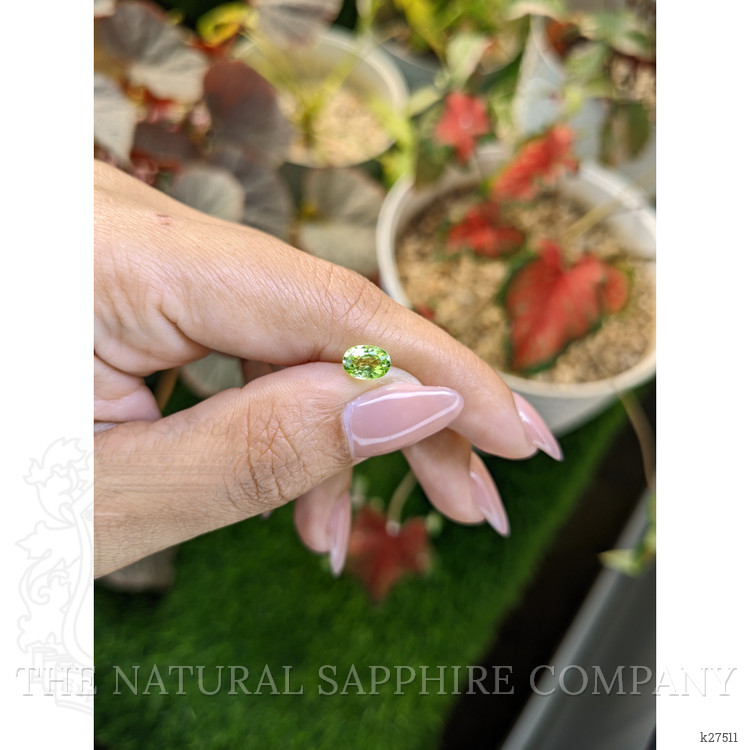 0.82 Ct. Yellowish Green Peridot from Pakistan