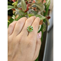 6.36 Ct. Yellowish Green Prasiolite from Madagascar Life Style