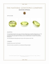 6.53 Ct. Yellowish Green Prasiolite from Madagascar Appraisal
