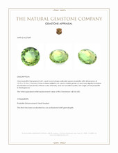 6.81 Ct. Yellowish Green Prasiolite from Madagascar Appraisal