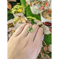 6.83 Ct. Yellowish Green Prasiolite from Madagascar Life Style