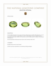 7.06 Ct. Yellowish Green Prasiolite from Madagascar Appraisal
