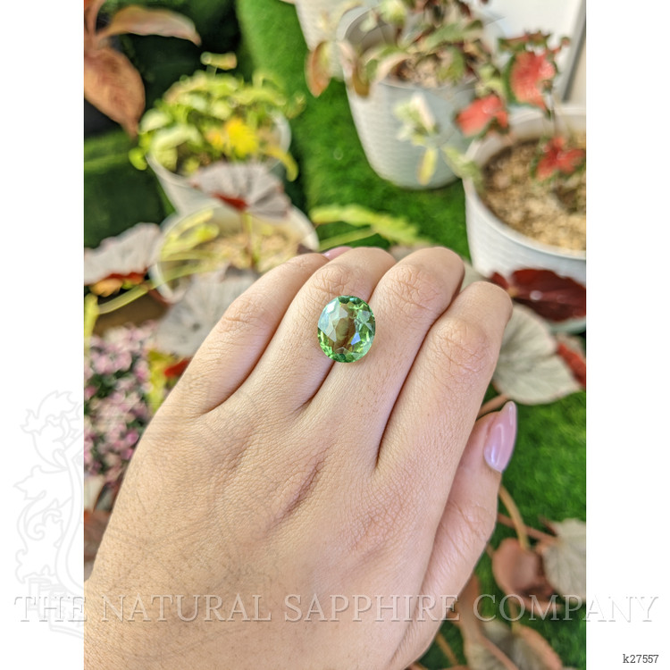 7.89 Ct. Green Prasiolite from Madagascar