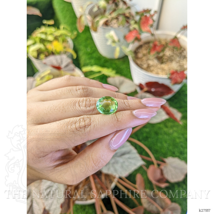 7.89 Ct. Green Prasiolite from Madagascar