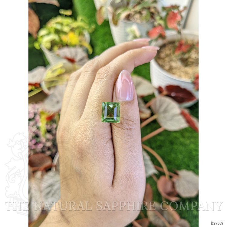 8.30 Ct. Green Prasiolite from Madagascar