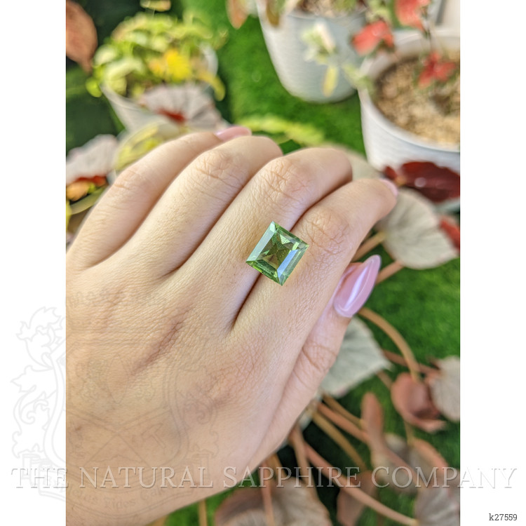8.30 Ct. Green Prasiolite from Madagascar
