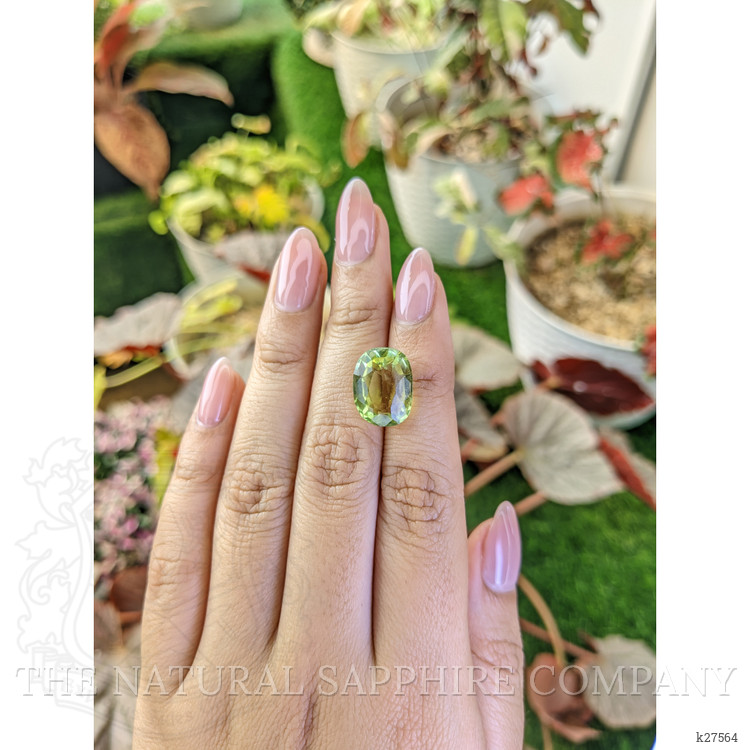 9.21 Ct. Yellowish Green Prasiolite from Madagascar