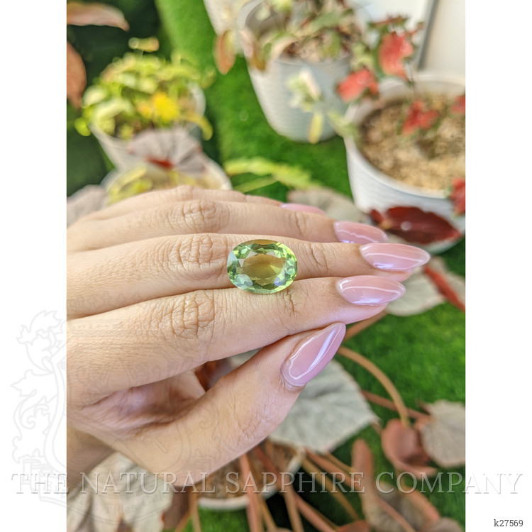 9.55 Ct. Yellowish Green Prasiolite from Madagascar