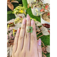 10.41 Ct. Yellowish Green Prasiolite from Madagascar Life Style