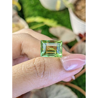 11.04 Ct. Yellowish Green Prasiolite from Madagascar Life Style