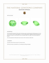 0.98 Ct. Tsavorite Garnet from Kenya Appraisal