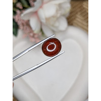 9.34 Ct. Orangish Red Cabochon Garnet from Ceylon (Sri Lanka) Life Style