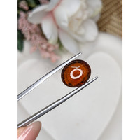 8.82 Ct. Reddish Orange Cabochon Hessonite Garnet from Madagascar Life Style