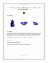 2.93 Ct. Violetish Blue Tanzanite from Tanzania Appraisal