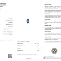 2.93 Ct. Violetish Blue Tanzanite from Tanzania Scan Report