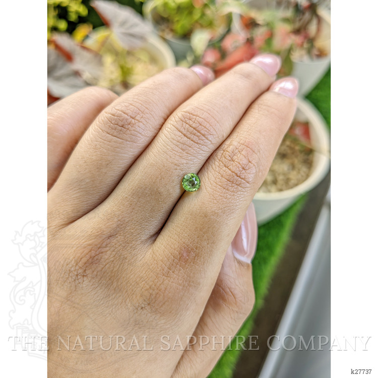 0.59 Ct. Green (Lime Green) Peridot from Pakistan