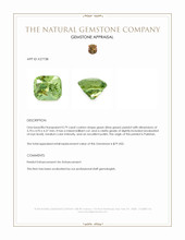 0.79 Ct. Green (Lime Green) Peridot from Pakistan Appraisal