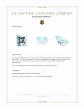 1.17 Ct. Greenish Blue Aquamarine from Madagascar Appraisal