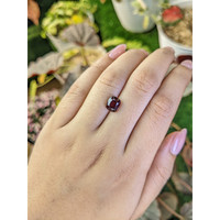 2.66 Ct. Purplish Red Rhodolite Garnet from Ceylon (Sri Lanka) Life Style